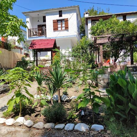 Flower House Chorefton Dış mekan fotoğraf