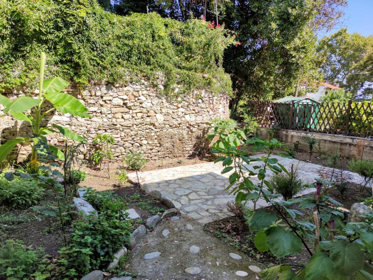 Flower House Chorefton Dış mekan fotoğraf