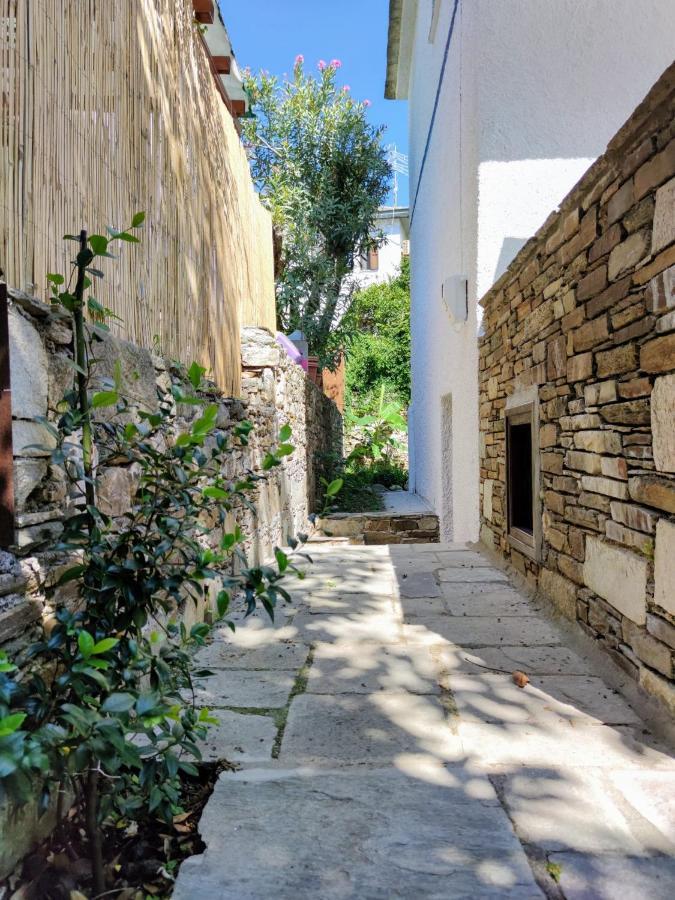 Flower House Chorefton Dış mekan fotoğraf
