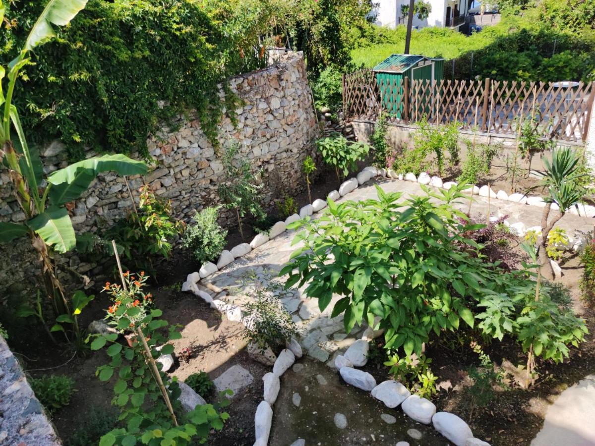 Flower House Chorefton Dış mekan fotoğraf